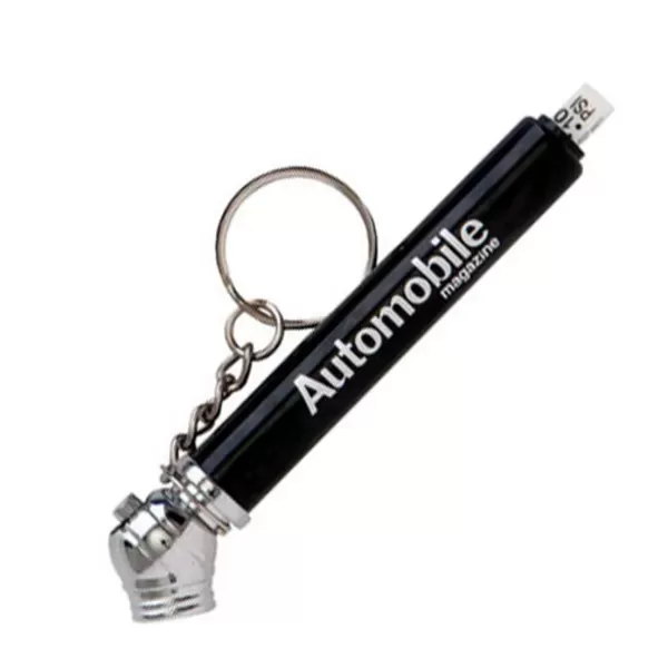 Tire gauge with keychain.