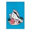 Product Option: Conch -