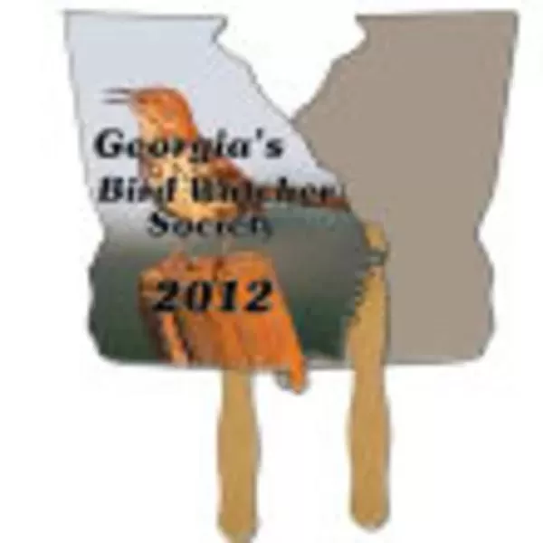 Georgia State shaped fan
