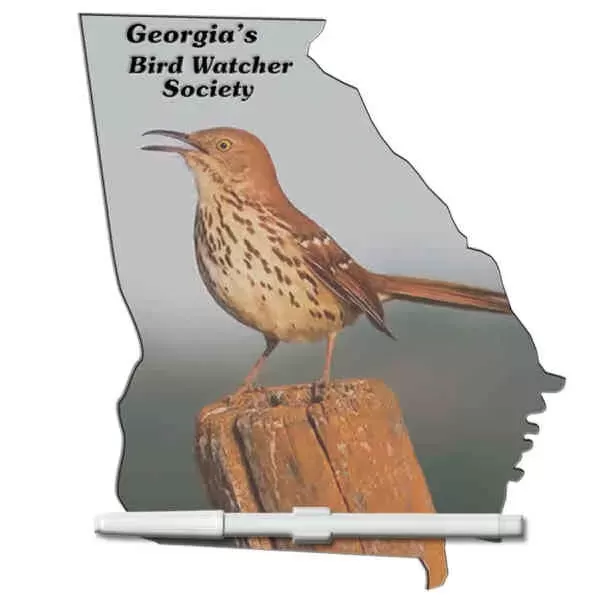 Georgia State  dry
