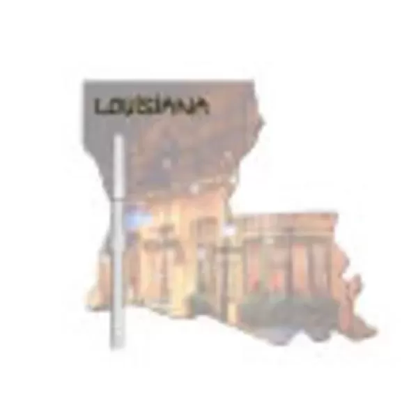 Louisiana State shaped dry