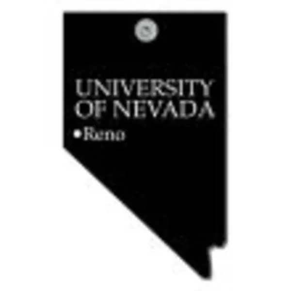 Nevada State shape paper