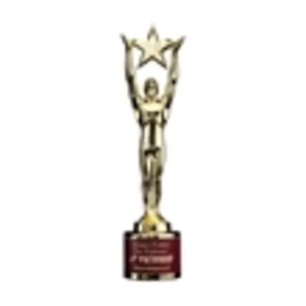 Promotional -AWARD 3732.39