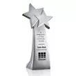 Resin cast star award.