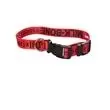 Promotional -PET-COLLAR