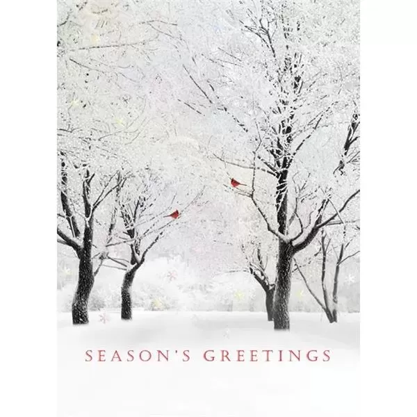 Shimmering Trees holiday greeting