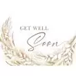 Sincere Healing get well