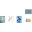 Sympathy card assortment pack