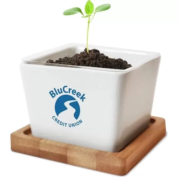 Ceramic planter with seed