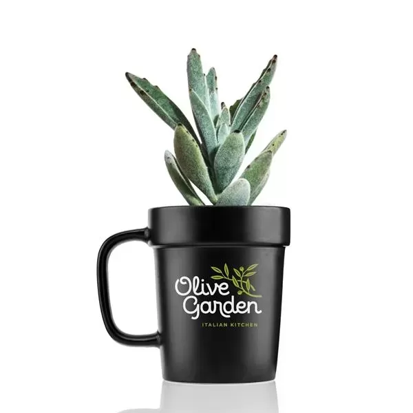 Planter Mug  