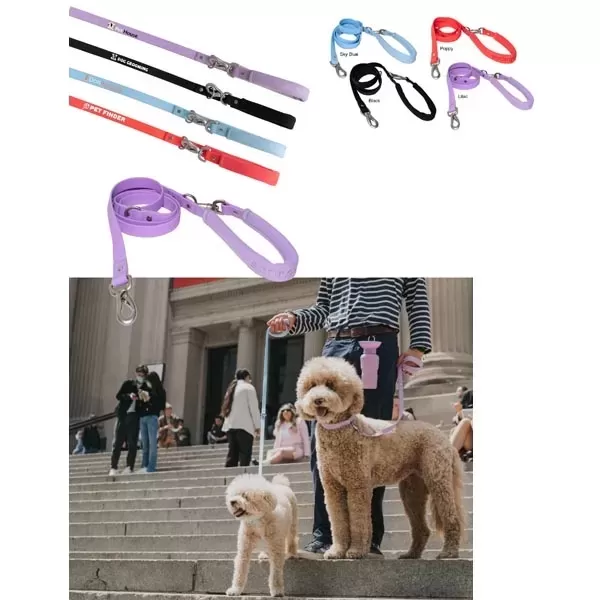 Springer - Dog leash
