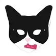 Cat face mask with