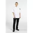 Short sleeve chef coat