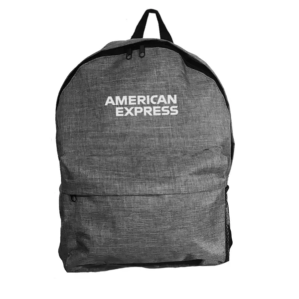 ACE USA Basic Backpack.