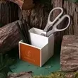 An eco-friendly desk organizer