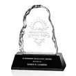 Promotional -AWARD LIQ305-K