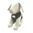 Polyester pet harness, available