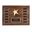 Promotional -AWARD 4519