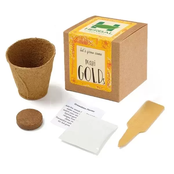 Marigold planter kit includes