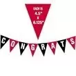 New Congrats 8 Pennant