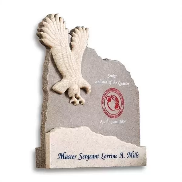 Stonecast eagle leadership award,