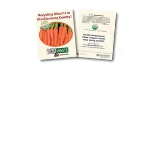 Custom imprinted promotional carrot seed packet