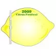 Lemon/lime shaped dry erase