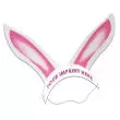 Rabbit ears with elastic